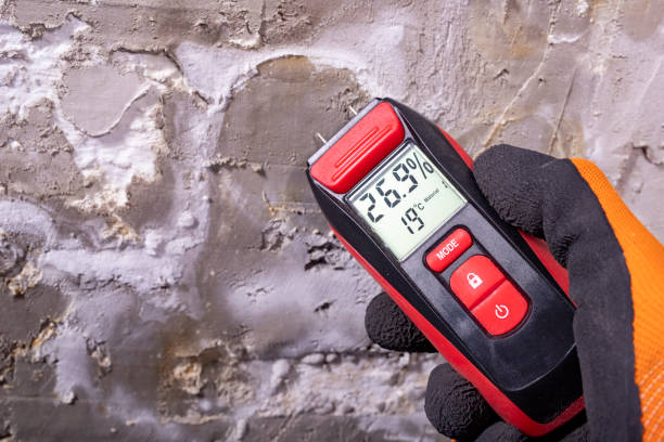 Best Residential Mold Remediation in St Martinville, LA
