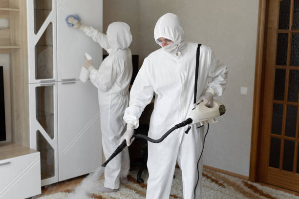Best Commercial Mold Remediation in St Martinville, LA